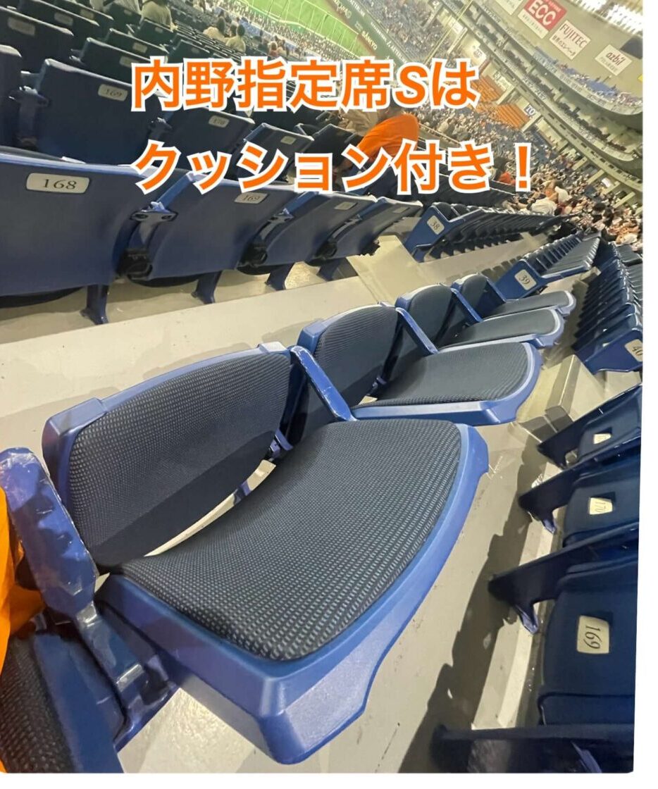 東京ドーム座席の見え方眺め内野指定席S席に高齢者と子供と行ってみた座席のクッション