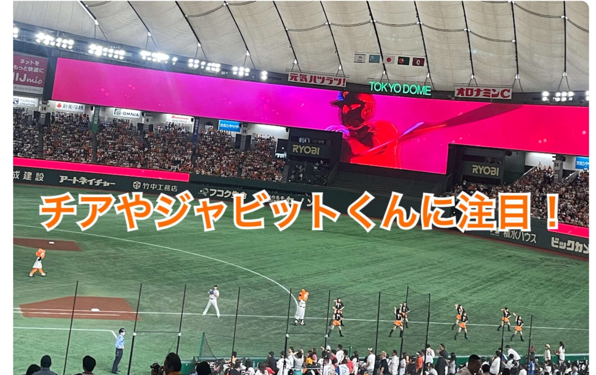 東京ドーム巨人戦子連れ観戦試合前後や試合中のイベントで盛り上がろうチアやジャビットくんに注目